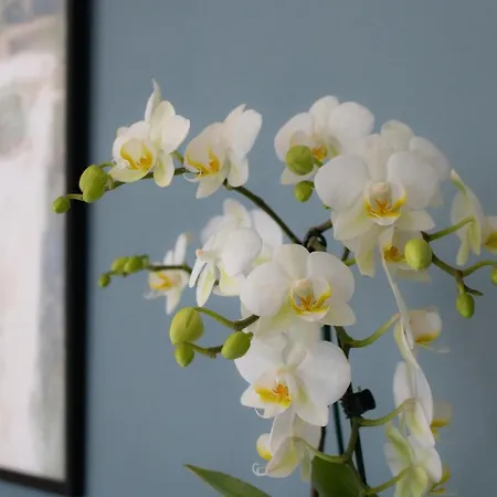 아파트 Aqualago D *