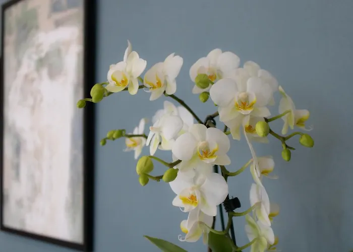 아파트 Aqualago D *